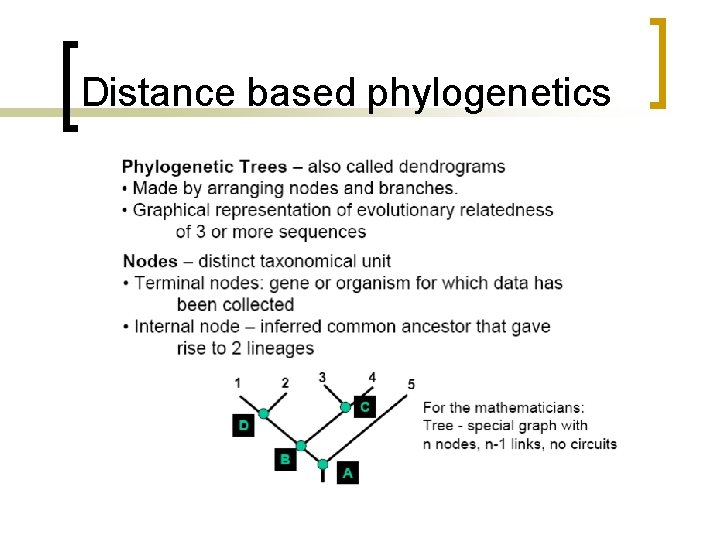 Distance based phylogenetics 