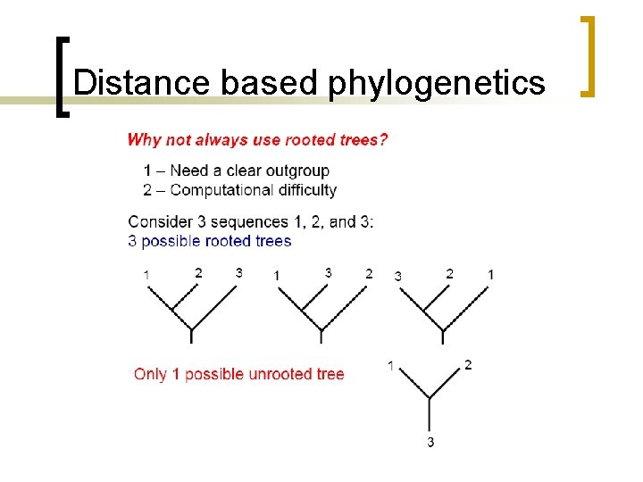 Distance based phylogenetics 