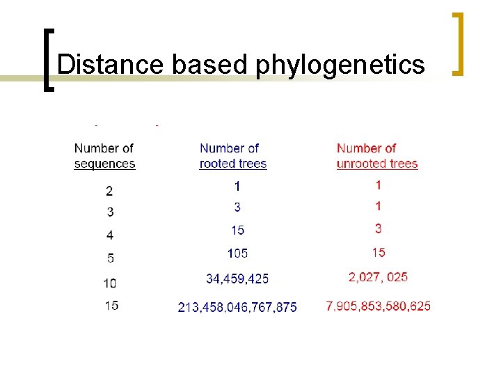 Distance based phylogenetics 