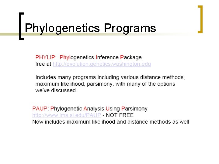 Phylogenetics Programs 