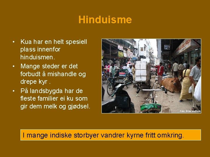 Hinduisme • Kua har en helt spesiell plass innenfor hinduismen. • Mange steder er Hinduisme • Kua har en helt spesiell plass innenfor hinduismen. • Mange steder er