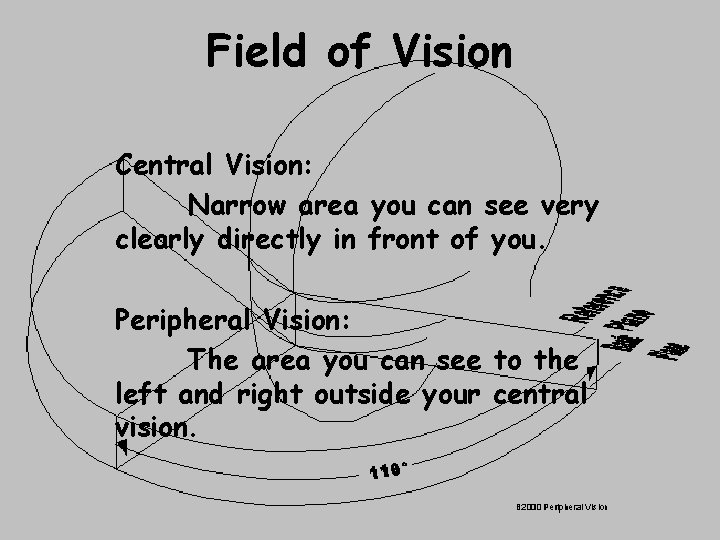 Field of Vision Central Vision: Narrow area you can see very clearly directly in