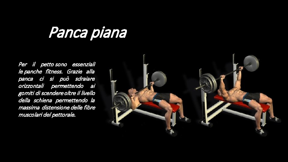 Panca piana Per il petto sono essenziali le panche fitness. Grazie alla panca ci