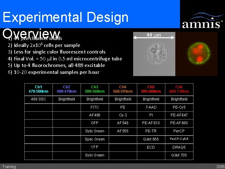 Experimental Design Overview 1) 44 mm channel width 44 mm 2) Ideally 2 x