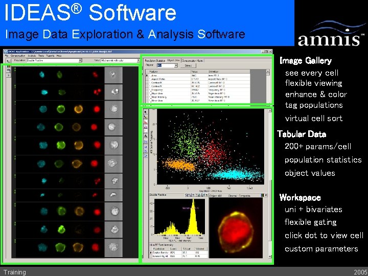 ® IDEAS Software Image Data Exploration & Analysis Software Image Gallery see every cell