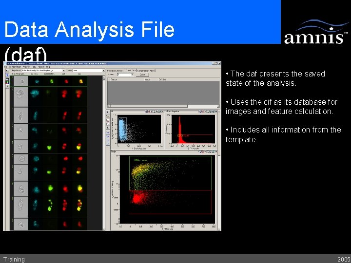 Data Analysis File (daf) • The daf presents the saved state of the analysis.