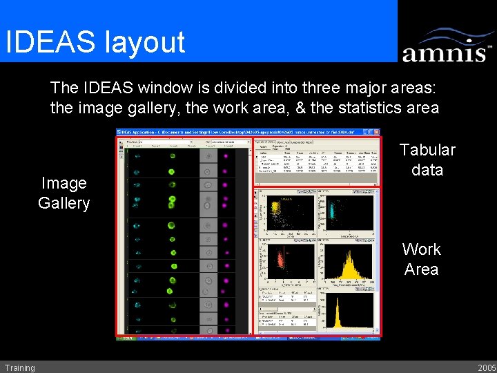 IDEAS layout The IDEAS window is divided into three major areas: the image gallery,