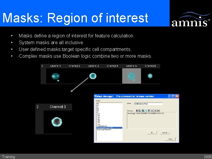 Masks: Region of interest • • Training Masks define a region of interest for