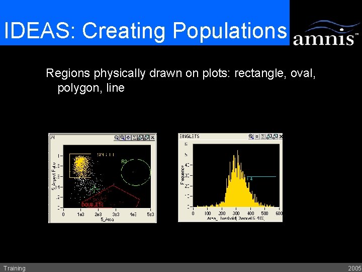 IDEAS: Creating Populations Regions physically drawn on plots: rectangle, oval, polygon, line Training 2005