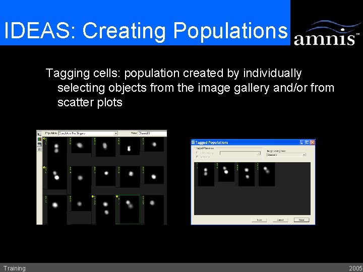 IDEAS: Creating Populations Tagging cells: population created by individually selecting objects from the image