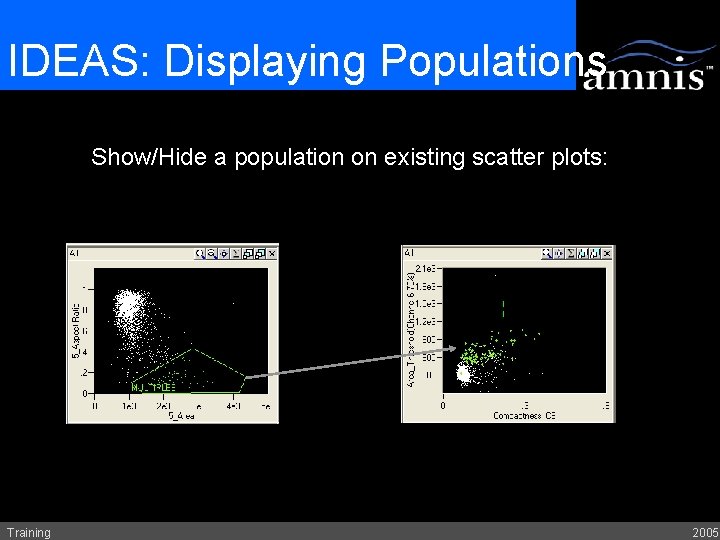 IDEAS: Displaying Populations Show/Hide a population on existing scatter plots: Training 2005 