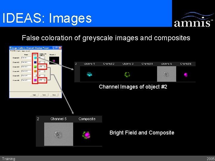 IDEAS: Images False coloration of greyscale images and composites Channel Images of object #2