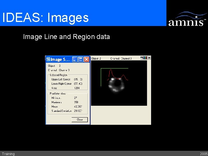 IDEAS: Images Image Line and Region data Training 2005 