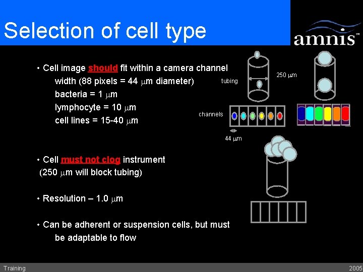 Selection of cell type • Cell image should fit within a camera channel tubing