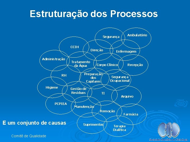 Estruturação dos Processos Ambulatório Segurança CCIH Administração RH Higiene PCPIEA Direção Tratamento da Água