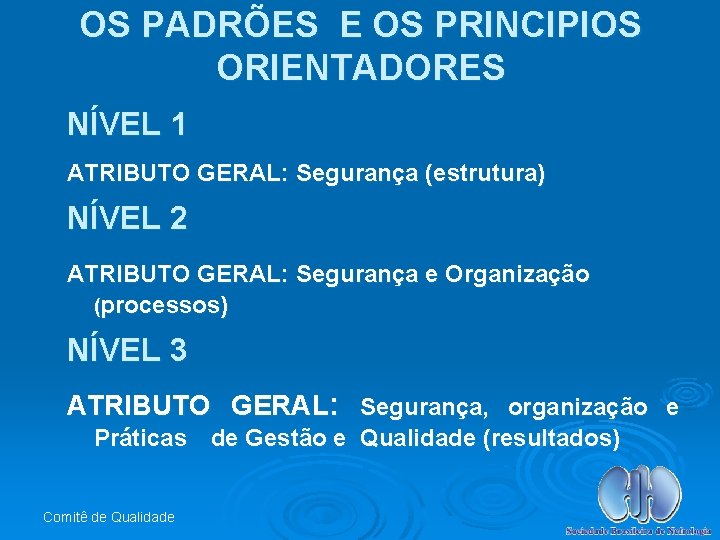 OS PADRÕES E OS PRINCIPIOS ORIENTADORES NÍVEL 1 ATRIBUTO GERAL: Segurança (estrutura) NÍVEL 2