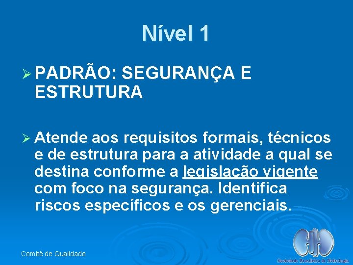 Nível 1 Ø PADRÃO: SEGURANÇA E ESTRUTURA Ø Atende aos requisitos formais, técnicos e