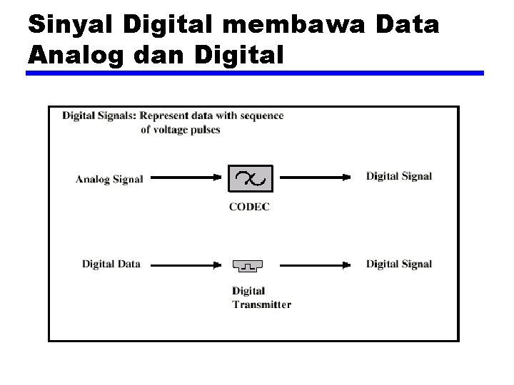 Sinyal Digital membawa Data Analog dan Digital 