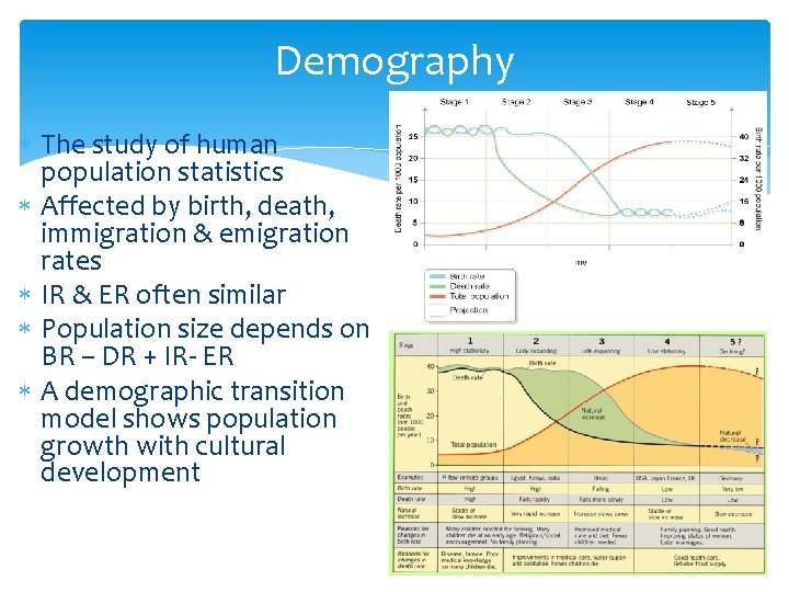 Demography The study of human population statistics Affected by birth, death, immigration & emigration