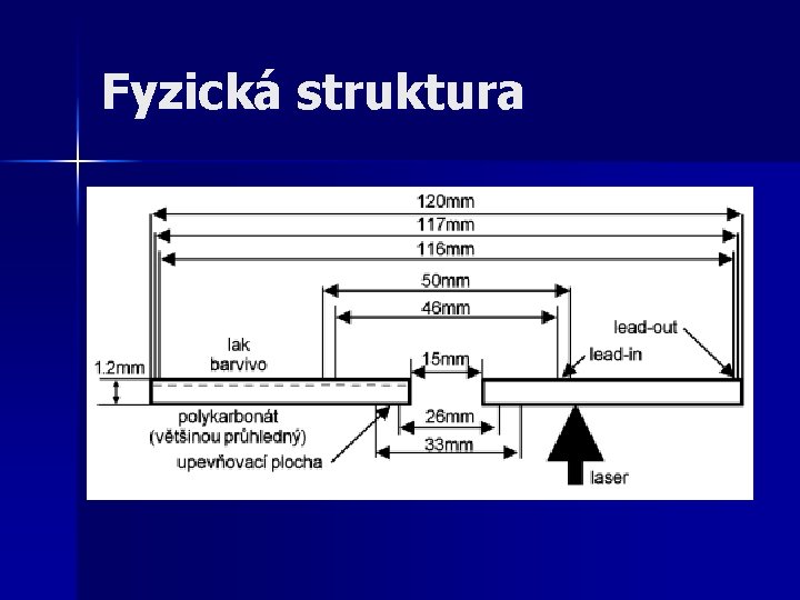 Fyzická struktura 