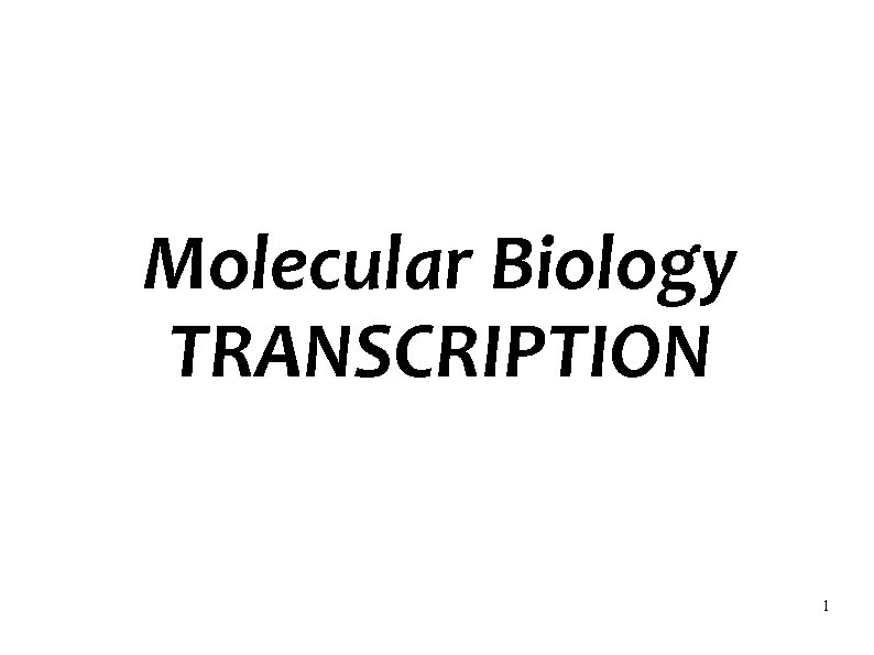 Molecular Biology TRANSCRIPTION 1 