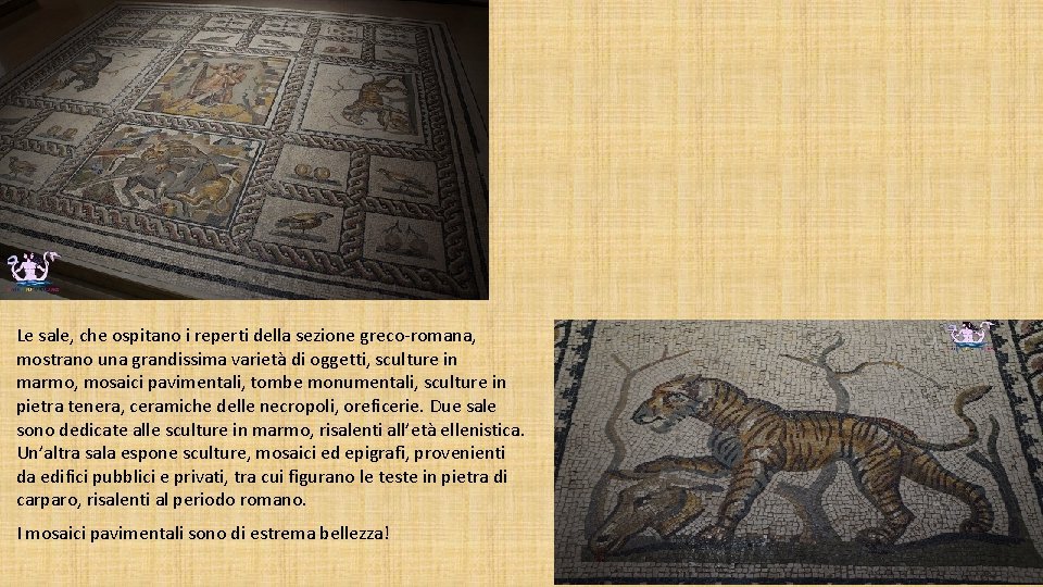 Le sale, che ospitano i reperti della sezione greco-romana, mostrano una grandissima varietà di