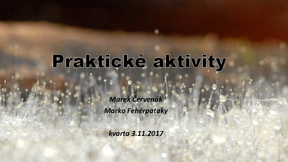 Praktické aktivity Marek Červenák Marko Fehérpataky kvarta 3. 11. 2017 