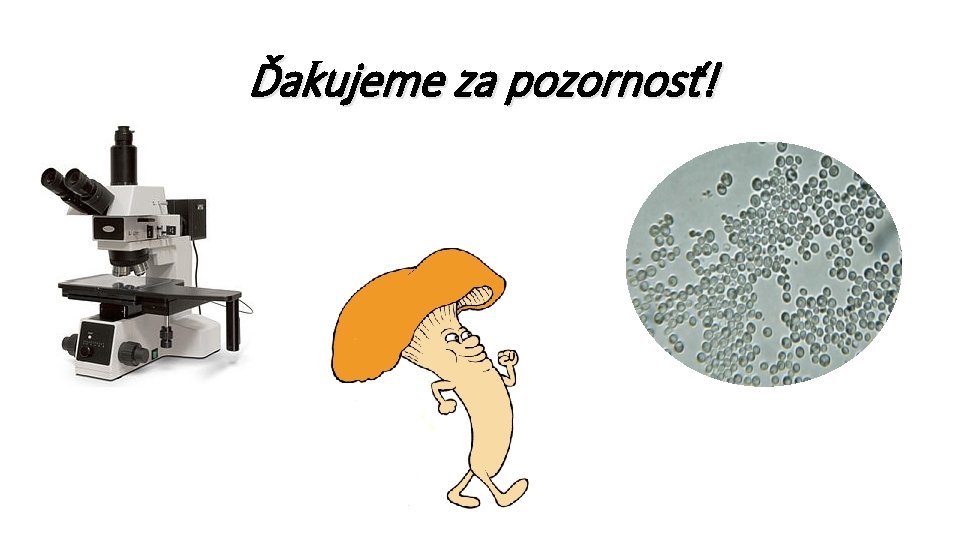 Ďakujeme za pozornosť! 