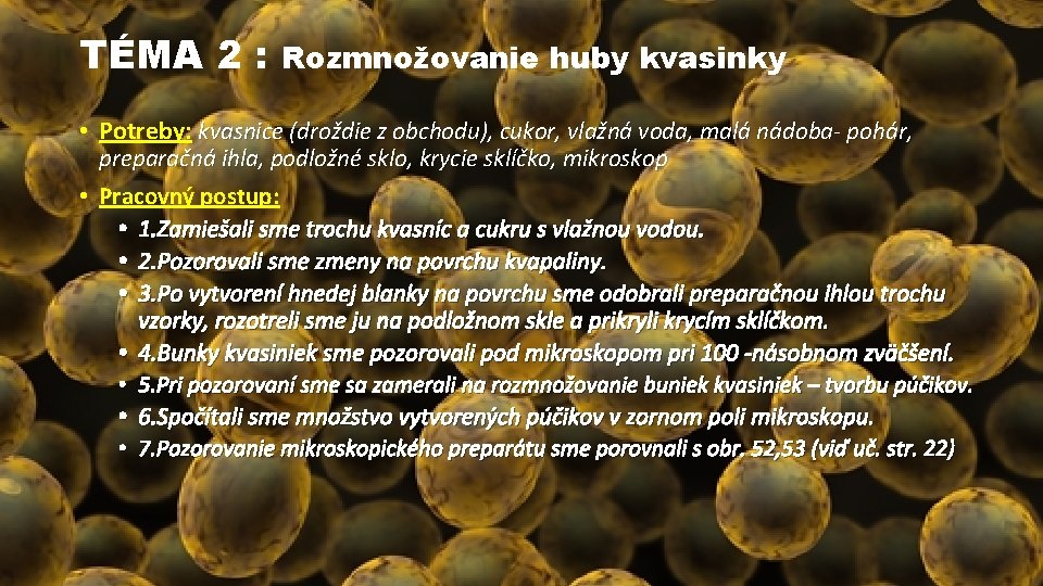 TÉMA 2 : Rozmnožovanie huby kvasinky • Potreby: kvasnice (droždie z obchodu), cukor, vlažná