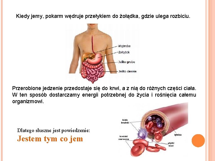 Kiedy jemy, pokarm wędruje przełykiem do żołądka, gdzie ulega rozbiciu. Przerobione jedzenie przedostaje się