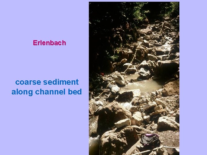 Erlenbach coarse sediment along channel bed 