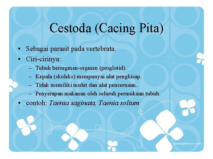 Cestoda (Cacing Pita) • Sebagai parasit pada vertebrata. • Ciri-cirinya: – – Tubuh bersegmen-segmen