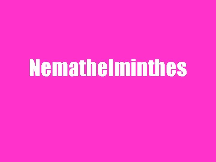 Nemathelminthes 