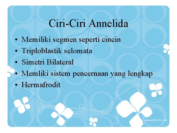 Ciri-Ciri Annelida • • • Memiliki segmen seperti cincin Triploblastik selomata Simetri Bilateral Memliki