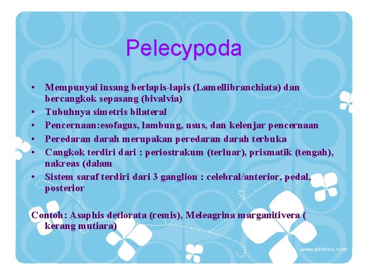 Pelecypoda • Mempunyai insang berlapis-lapis (Lamellibranchiata) dan bercangkok sepasang (bivalvia) • Tubuhnya simetris bilateral