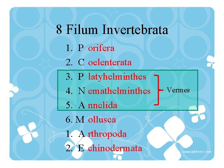 8 Filum Invertebrata 1. P orifera 2. C oelenterata 3. P latyhelminthes 4. N