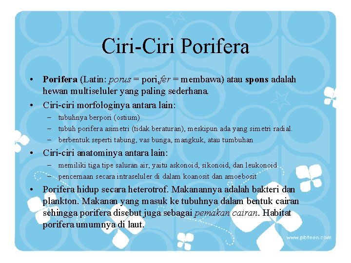 Ciri-Ciri Porifera • Porifera (Latin: porus = pori, fer = membawa) atau spons adalah