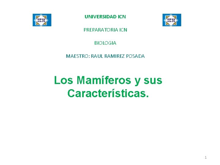 UNIVERSIDAD ICN PREPARATORIA ICN BIOLOGIA MAESTRO: RAUL RAMIREZ POSADA Los Mamíferos y sus Características.