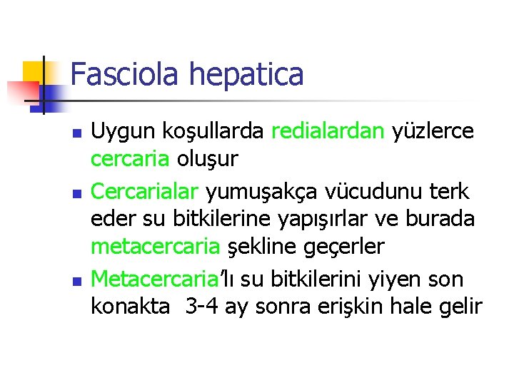 Fasciola hepatica n n n Uygun koşullarda redialardan yüzlerce cercaria oluşur Cercarialar yumuşakça vücudunu