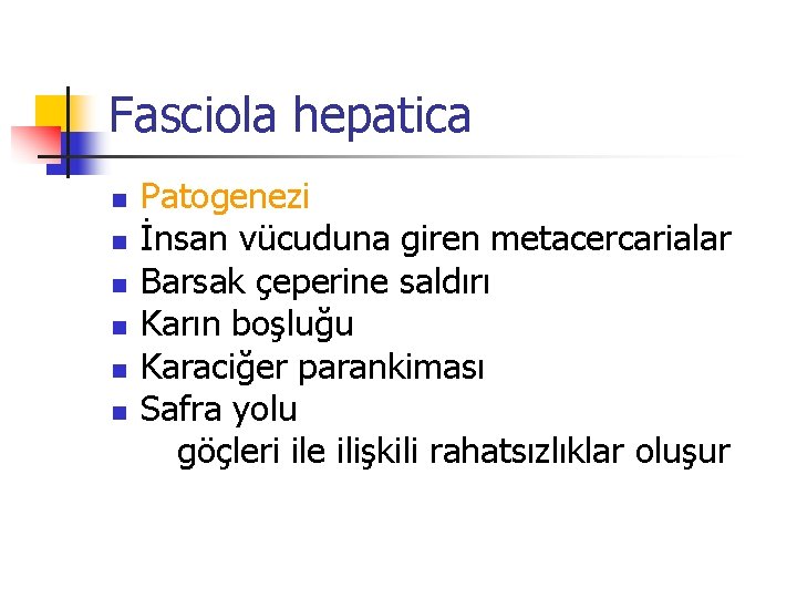 Fasciola hepatica Patogenezi n İnsan vücuduna giren metacercarialar n Barsak çeperine saldırı n Karın