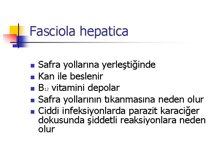 Fasciola hepatica n n n Safra yollarına yerleştiğinde Kan ile beslenir B 12 vitamini