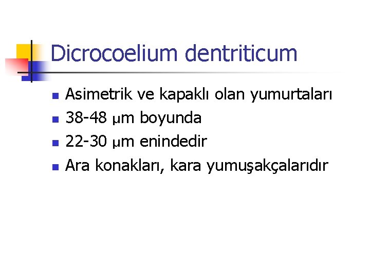 Dicrocoelium dentriticum n n Asimetrik ve kapaklı olan yumurtaları 38 -48 µm boyunda 22