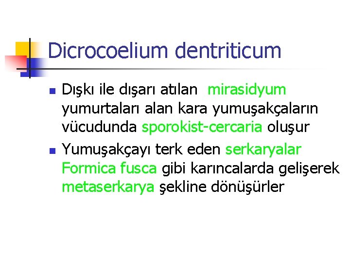 Dicrocoelium dentriticum n n Dışkı ile dışarı atılan mirasidyum yumurtaları alan kara yumuşakçaların vücudunda