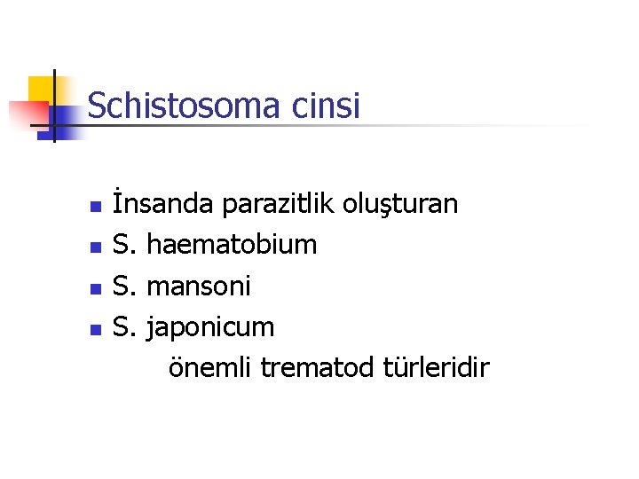 Schistosoma cinsi İnsanda parazitlik oluşturan n S. haematobium n S. mansoni n S. japonicum