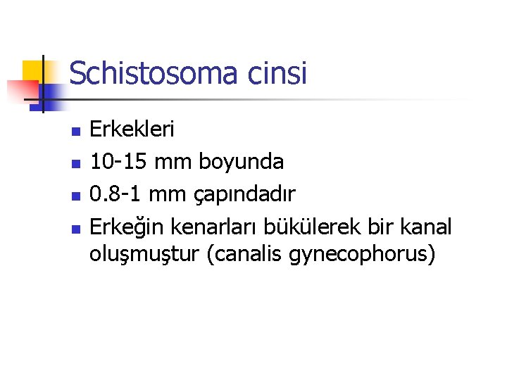 Schistosoma cinsi n n Erkekleri 10 -15 mm boyunda 0. 8 -1 mm çapındadır