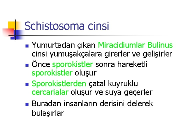 Schistosoma cinsi n n Yumurtadan çıkan Miracidiumlar Bulinus cinsi yumuşakçalara girerler ve gelişirler Önce