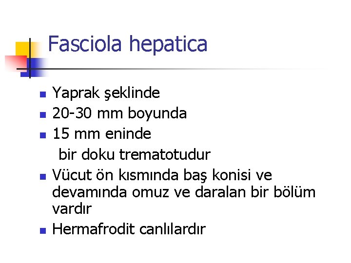 Fasciola hepatica Yaprak şeklinde n 20 -30 mm boyunda n 15 mm eninde bir