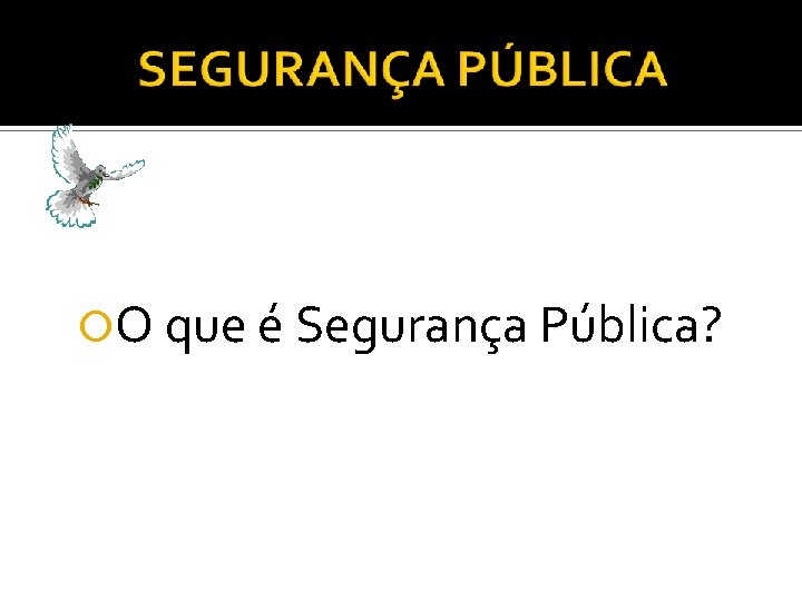  O que é Segurança Pública? 