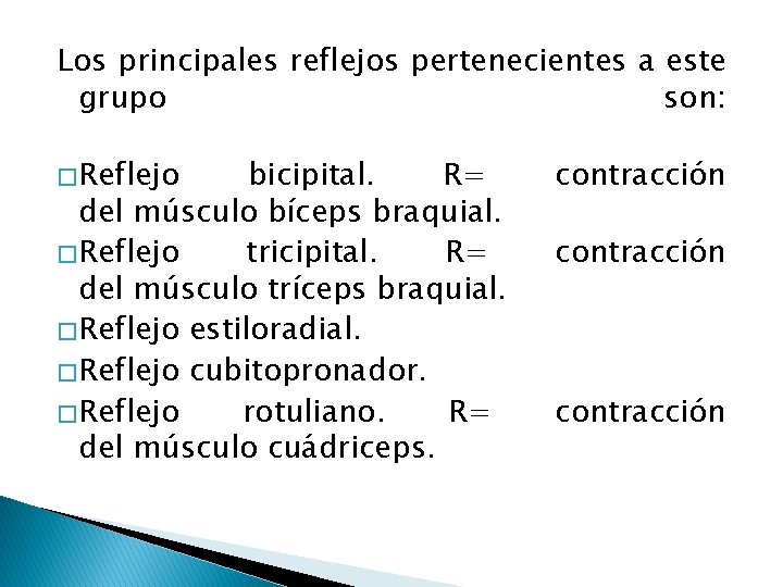 Los principales reflejos pertenecientes a este grupo son: � Reflejo bicipital. R= del músculo Los principales reflejos pertenecientes a este grupo son: � Reflejo bicipital. R= del músculo