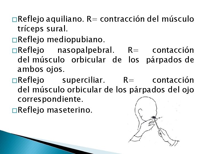 � Reflejo aquiliano. R= contracción del músculo tríceps sural. � Reflejo mediopubiano. � Reflejo � Reflejo aquiliano. R= contracción del músculo tríceps sural. � Reflejo mediopubiano. � Reflejo